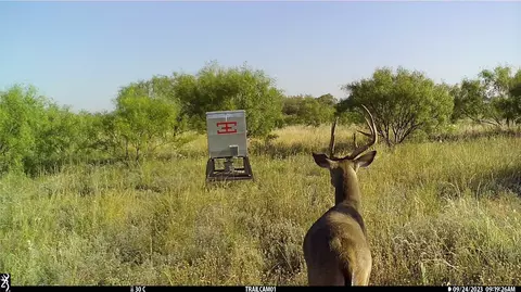 Tbd Cr 281, Mccaulley, TX 79534