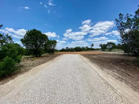 290 Peninsula Ct, Bluff Dale, TX 76433