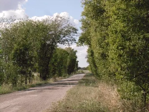 Tract 2 Hcr 3258, Mount Calm, TX 76673