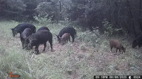 Tbd Cr 3250 Road, Clarksville, TX 75554