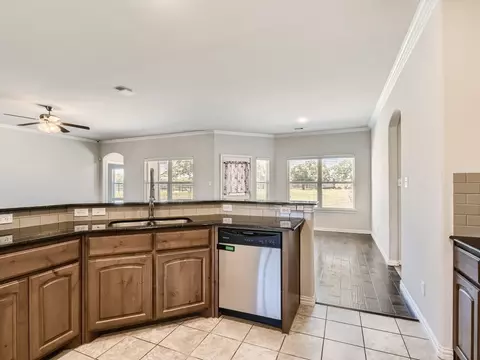 254 Springwood Ranch Loop, Springtown, TX 76082 photo 14