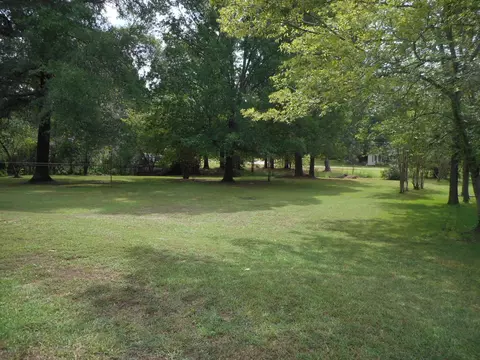 Exterior - 715 E Mary Lee, Plain Dealing, LA 71064 photo 6 of 8