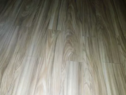 Other - 715 E Mary Lee, Plain Dealing, LA 71064 photo 1 of 10