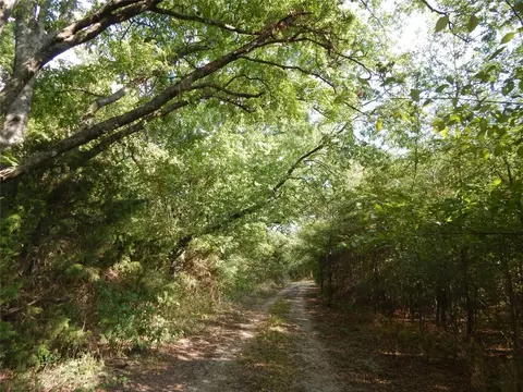 Tbd E Mcfarland Street, Bells, TX 75414