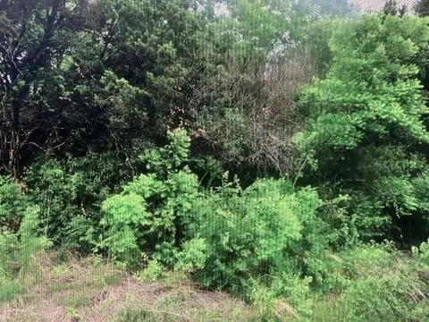 3514 Cedar Dr, Granbury, TX 76048