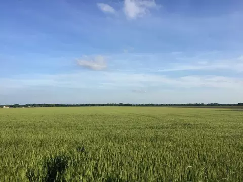 Tbd Cr 103, Grandview, TX 76050