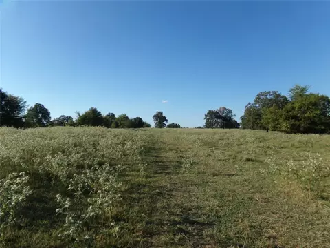 1753 Fm 194, Blossom, TX 75416