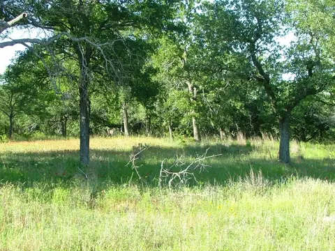 141 Cote D Azur, Chico, TX 76431