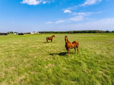 Tbd County Rd 2458, Poetry, TX 75160