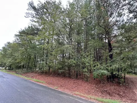 0 Downs Dr, Benton, LA 71006 photo 2