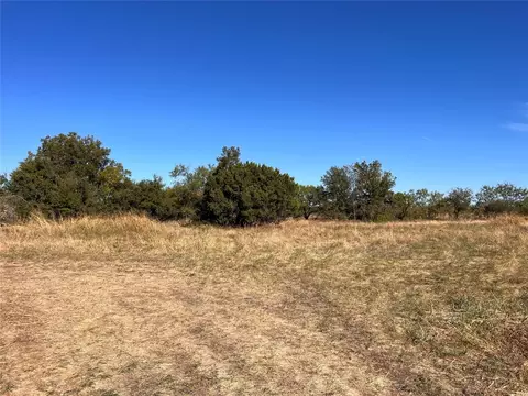 6101 County Road 170, Bangs, TX 76823 photo 6