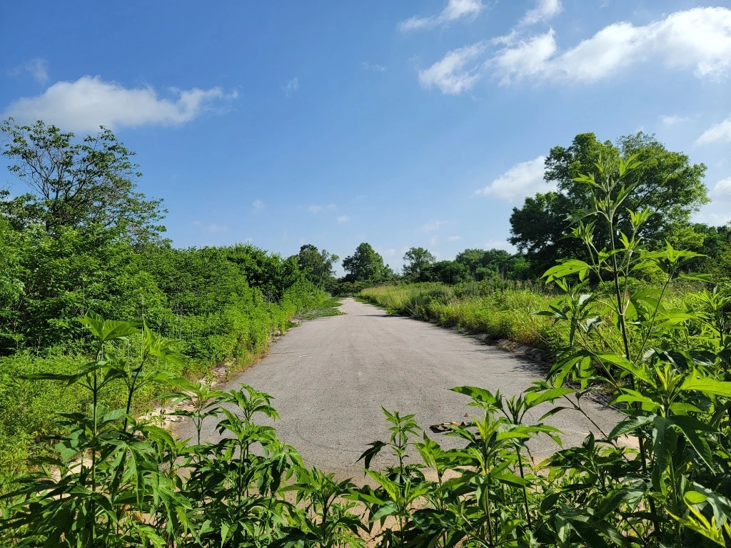 19205-19286 Flint Cyn