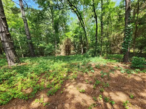 Tbd County Road 2150, Quitman, TX 75783