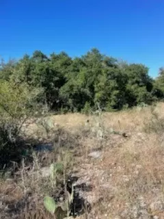 3120 Buck View Rd, Brownwood, TX 76801