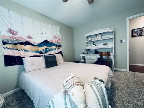 201 Old Sidney Rd, Comanche, TX 76442 photo 6