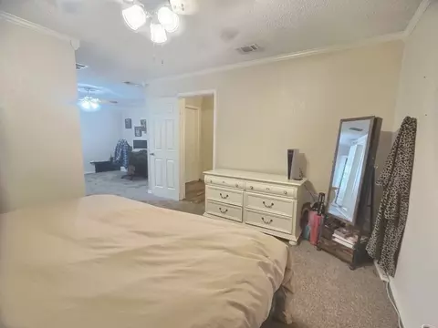 1000 E Ohio St, Van, TX 75790 photo 19