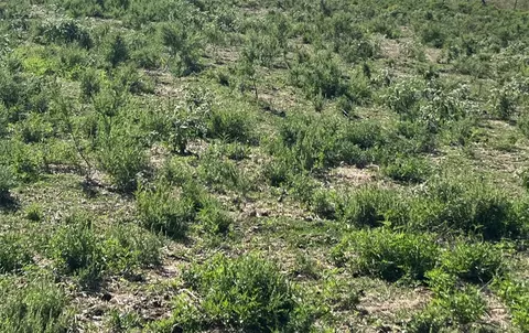 00 Co Rd 154, Kaufman, TX 75142