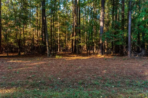 tbd Wildwood Trl, Mount Vernon, TX 75457