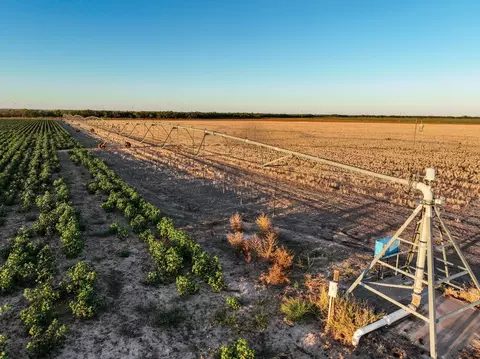 2100 N Cr 4351, Munday, TX 76371