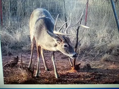 0000 Swink Rd, Olney, TX 76374