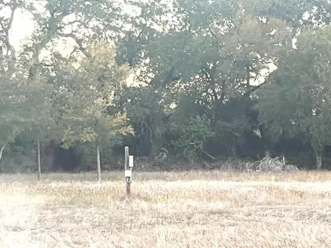 264 Buffalo Dr, Comanche, TX 76442 photo 11