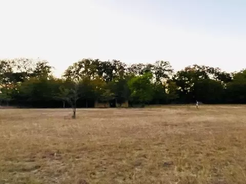264 Buffalo Dr, Comanche, TX 76442 photo 8