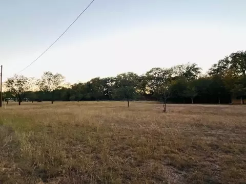 264 Buffalo Dr, Comanche, TX 76442 photo 3