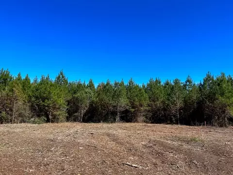 0 Cr 1915, No City, TX 77664