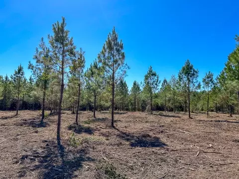 00 Cr 1915, No City, TX 77664