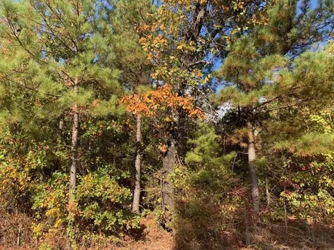 0 Gibson Rd, Homer, LA 71040