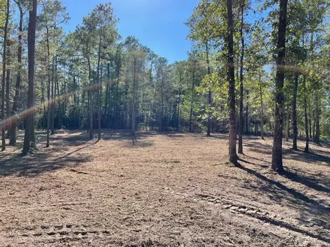 lot1 Fm 352, Corrigan, TX 75939