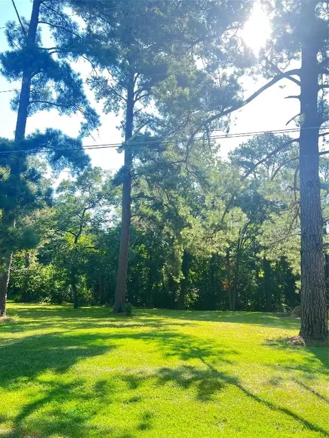 501 Freeman St, Daingerfield, TX 75638