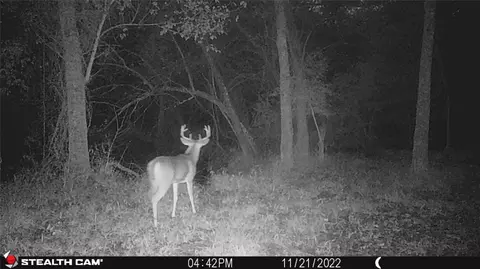 tbd 0 Lcr 828, Groesbeck, TX 76642