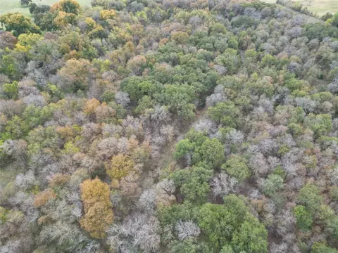 1024 Highway County 1439 Rd, Covington, TX 76636 photo 21