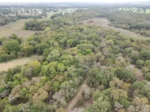 1024 Highway County 1439 Rd, Covington, TX 76636 photo 15
