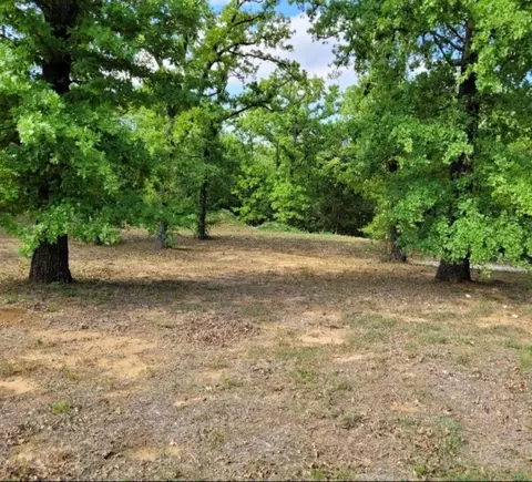 541 W Waters Edge Way, Oak Point, TX 75068