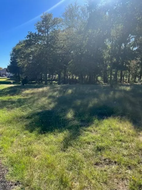 Tbd Splitrail Drive, Mabank, TX 75143 photo 2