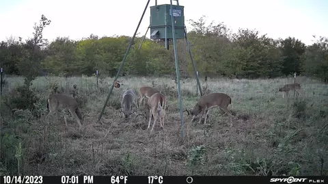 Tbd8 County Road 421, Desdemona, TX 76444