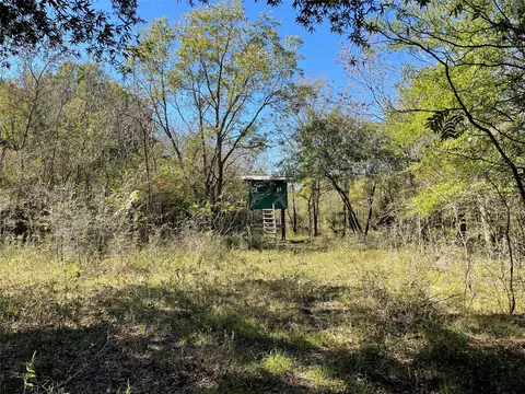 tbd County Rd 4614 Rd, Commerce, TX 75428 photo 5