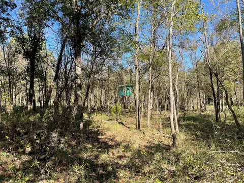 tbd County Rd 4614 Rd, Commerce, TX 75428 photo 6