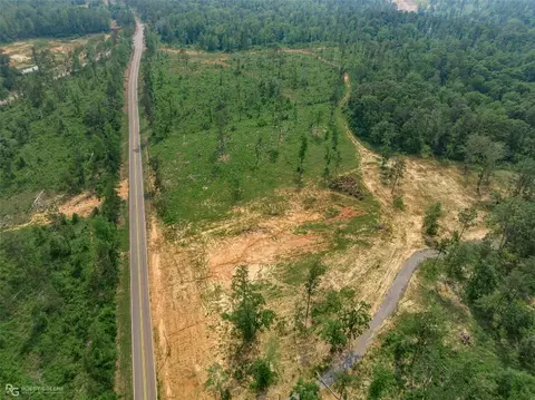 130 Fire Tower Rd, Plain Dealing, LA 71064 photo 3