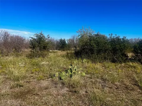 240 Neeleys Slough Dr, Graford, TX 76449