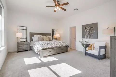 408 E Paddock, Willow Park, TX 76087 photo 28