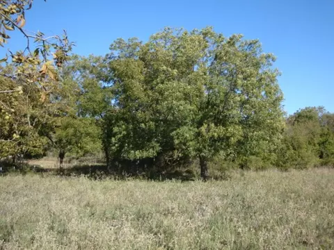 Tbd Fm 3041, Corsicana, TX 75109