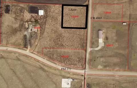 Tbd Cr 4865 County Rd 4865, Leonard, TX 75452