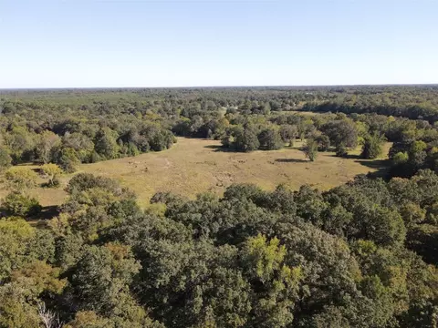 1355 County Road 3335, Avery, TX 75554 photo 19