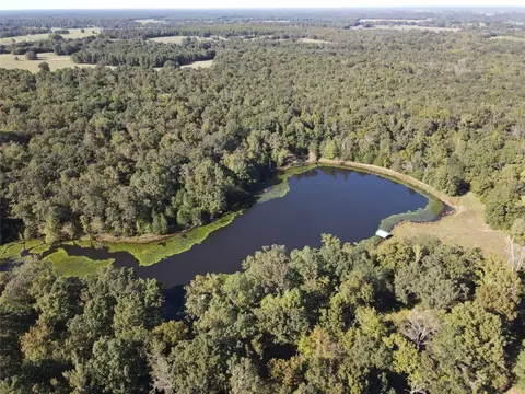1355 County Road 3335, Avery, TX 75554 photo 24