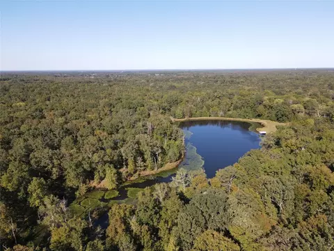 1355 County Road 3335, Avery, TX 75554 photo 18