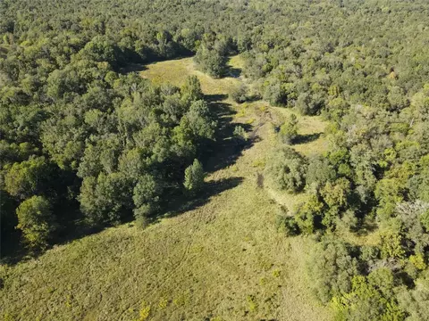 1355 County Road 3335, Avery, TX 75554 photo 13