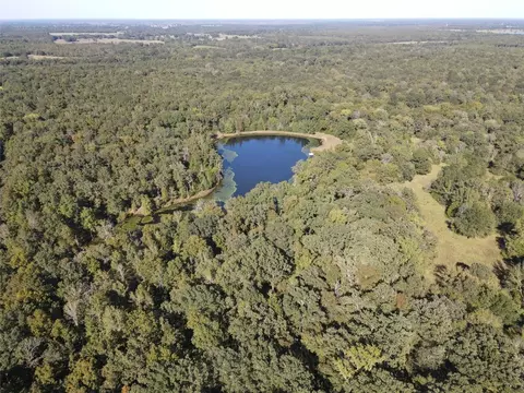 1355 County Road 3335, Avery, TX 75554 photo 21